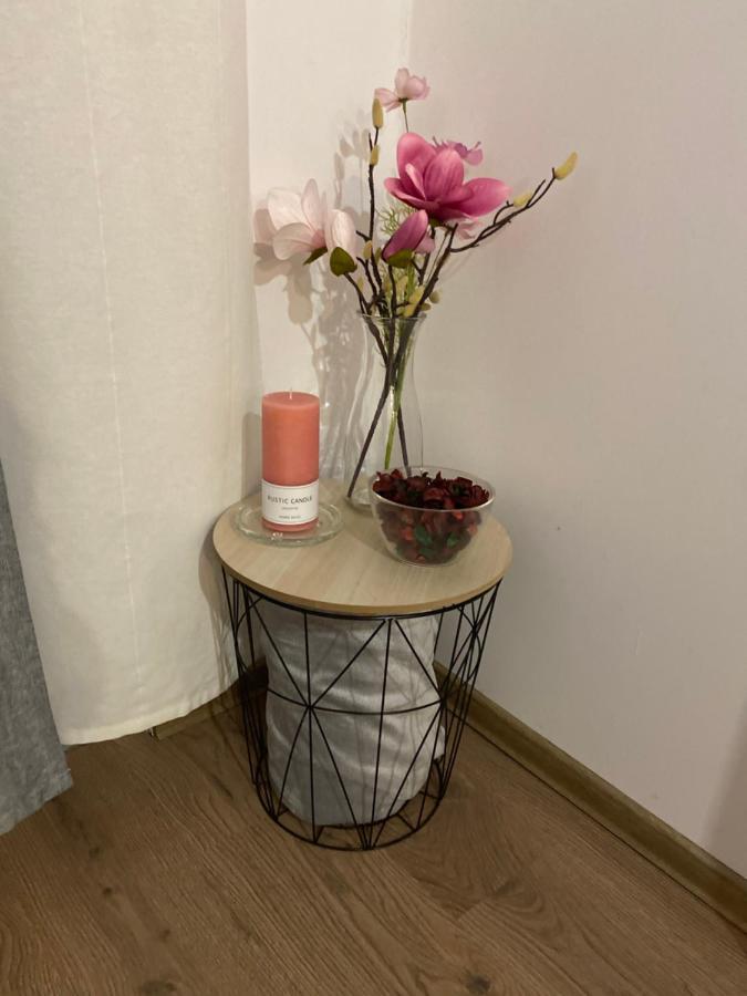 Apartament Fressh House Sincraieni Zewnętrze zdjęcie